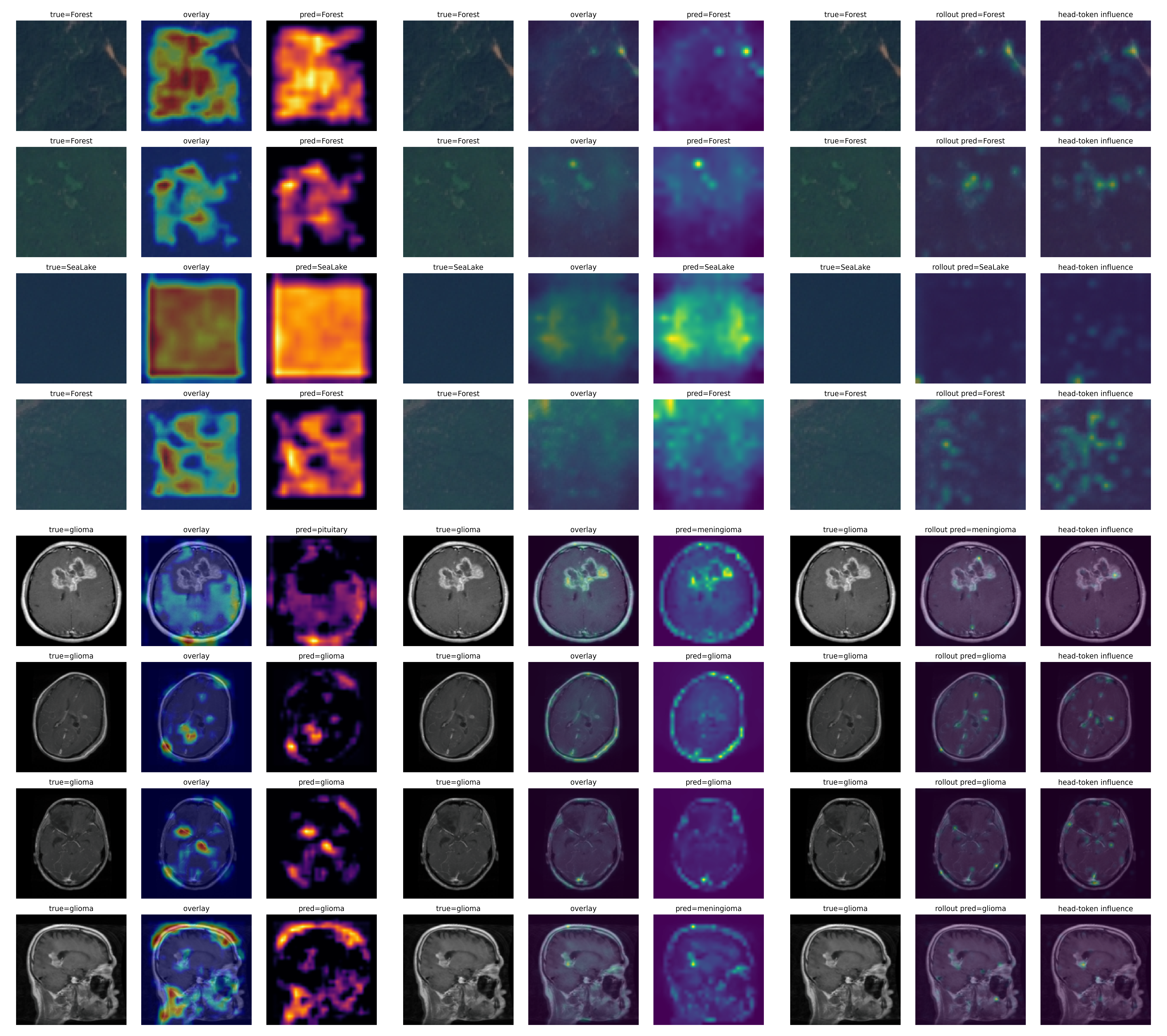 Downstream interpretability panel